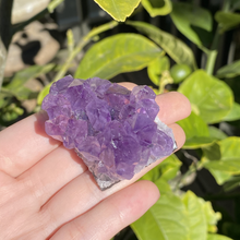 Load image into Gallery viewer, Raw Amethyst Cluster (Small)
