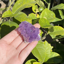 Load image into Gallery viewer, Raw Amethyst Cluster (Small)
