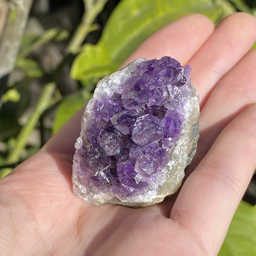 Lil Amethyst Cluster Nugget (Small)