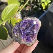 Load image into Gallery viewer, Dense Raw Amethyst Cluster (Small/Medium)
