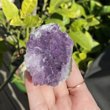 Load image into Gallery viewer, Flat-bottom Amethyst Cluster (Small/Medium)
