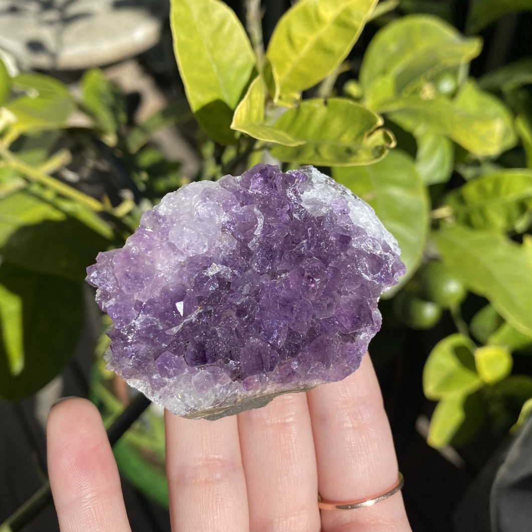 Flat-bottom Amethyst Cluster (Small/Medium)